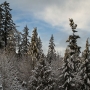 Sunset brings the first snow day of 2012 to a close. Exposure: ISO 200, f/8, 1/125 sec.